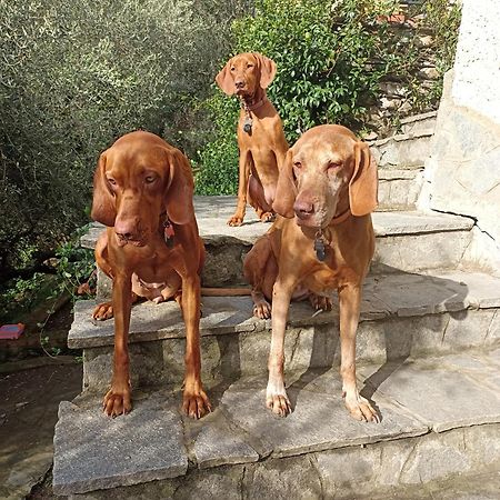 A Casa Di Grea Panzió Rapallo Kültér fotó