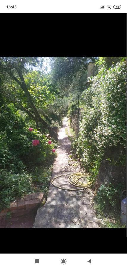 A Casa Di Grea Panzió Rapallo Kültér fotó